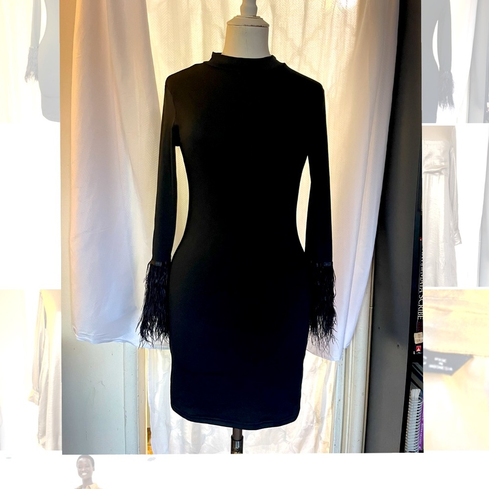 Black Feather Sleeve Mini Dress